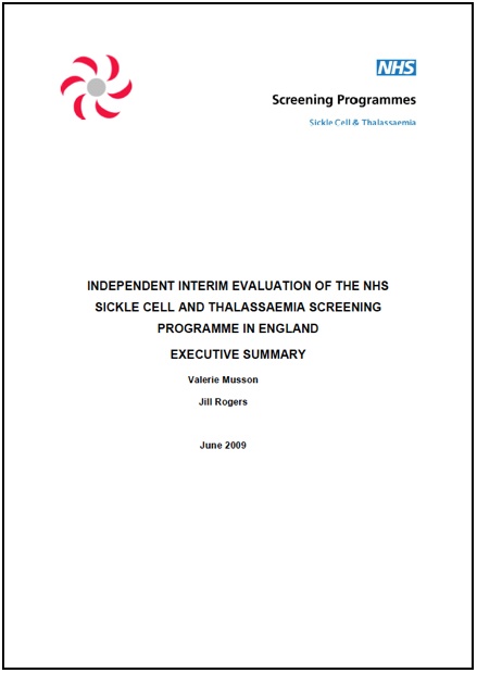 Independent_interim_evaluation